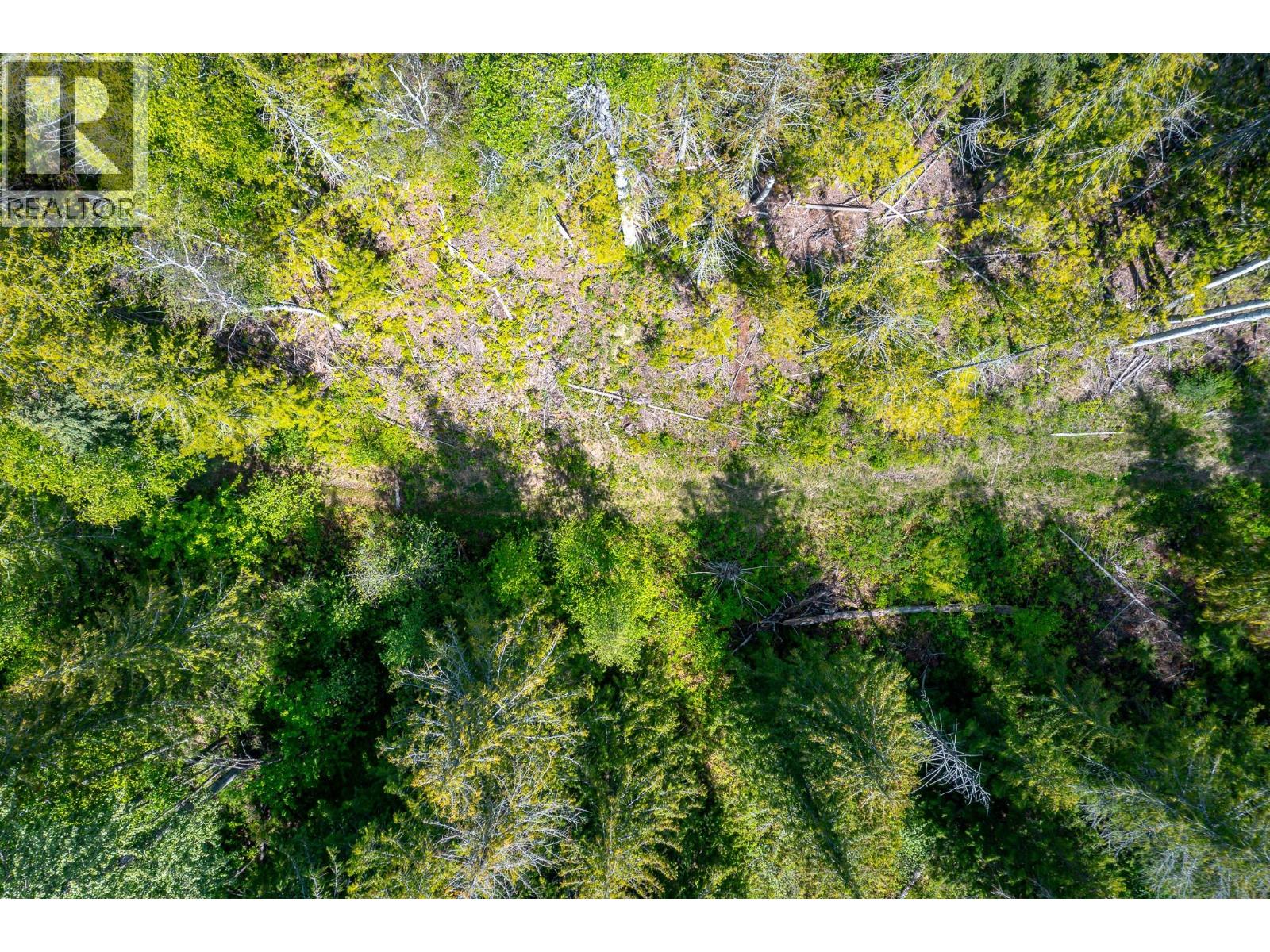 8276 Lincoln Road, Vernon, British Columbia  V1B 3M8 - Photo 6 - 10375830