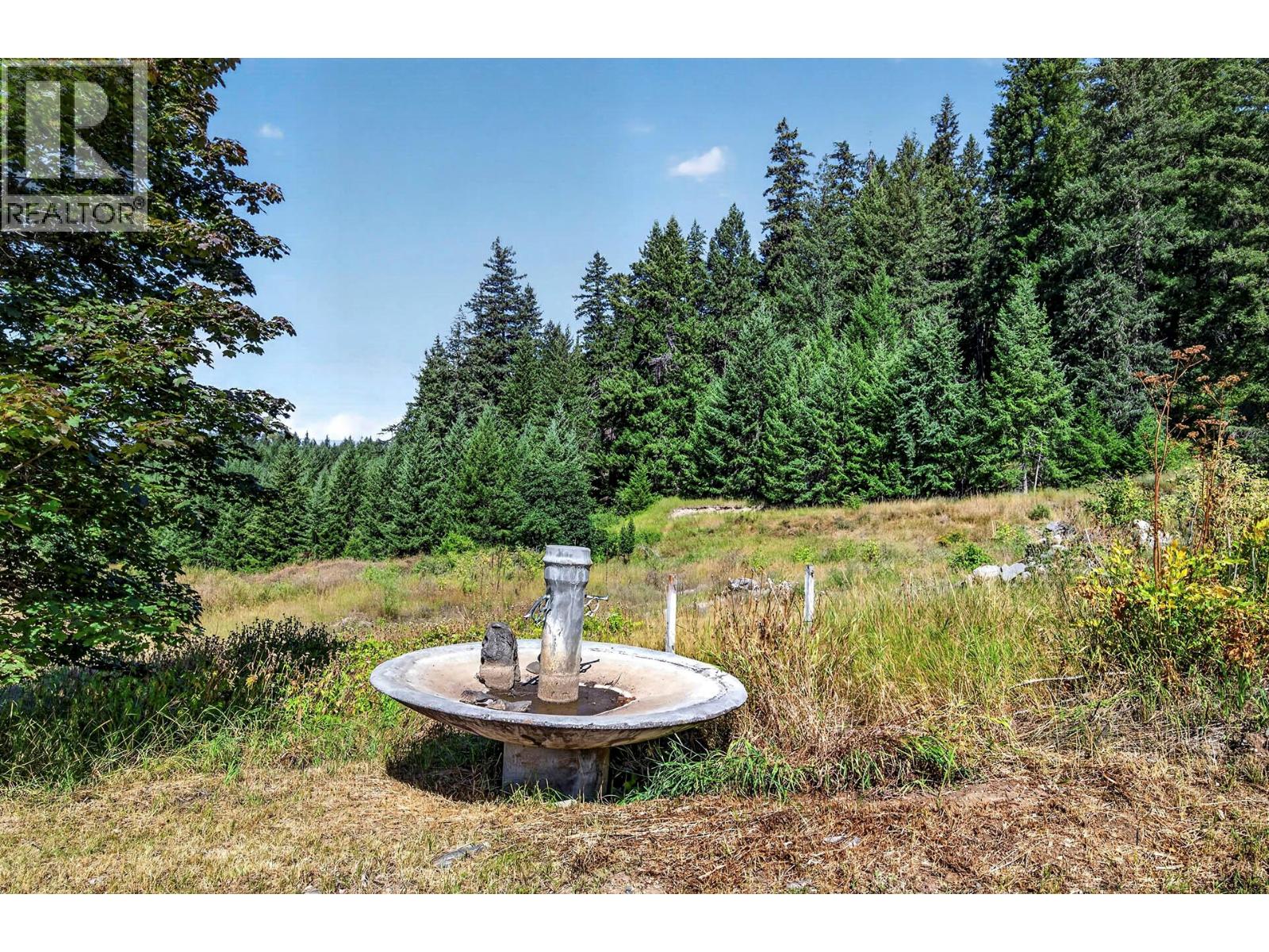 picture 59
