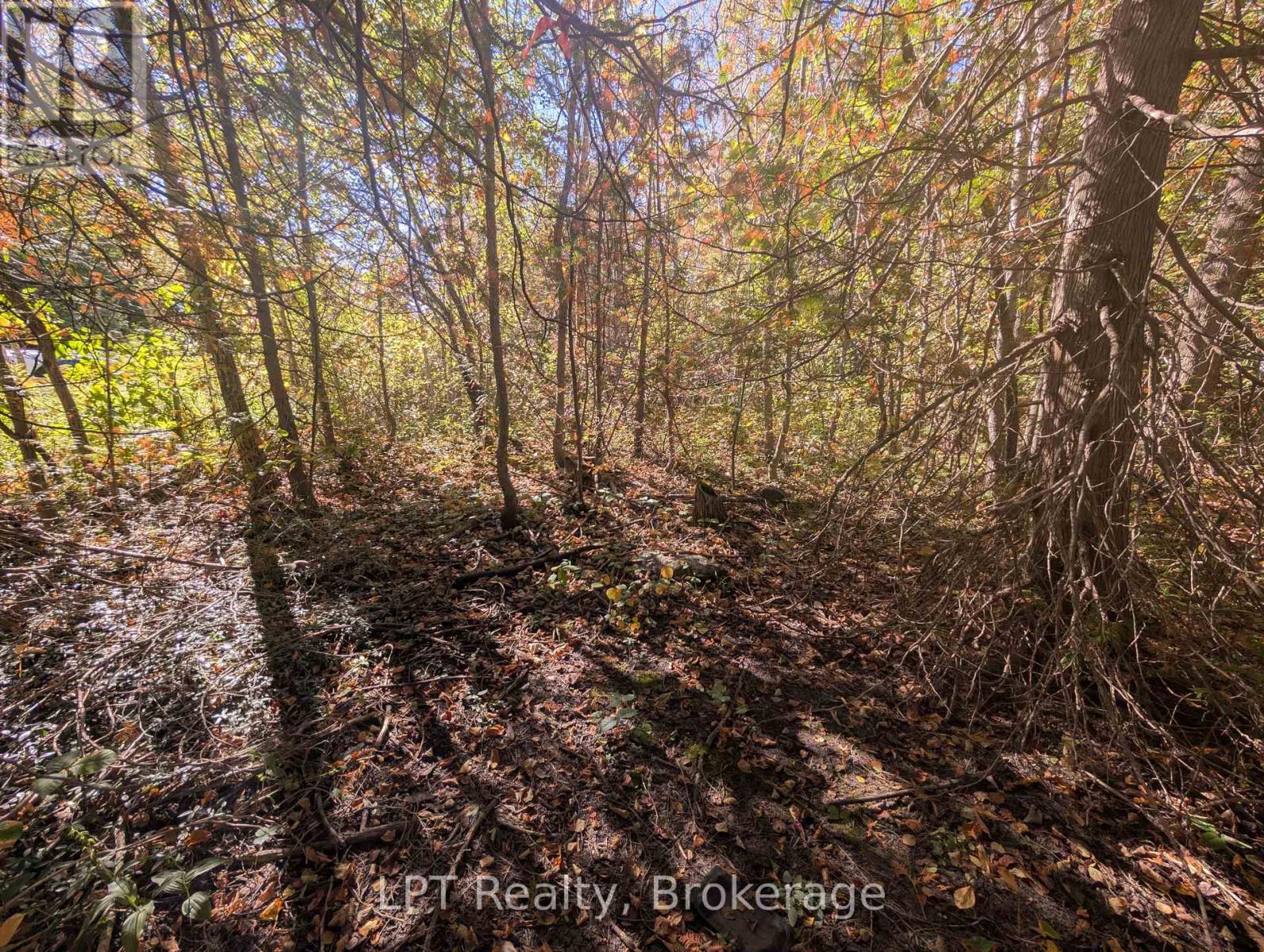 Lt 166 Mallory Beach Road, South Bruce Peninsula, Ontario  N0H 2T0 - Photo 18 - X13013500