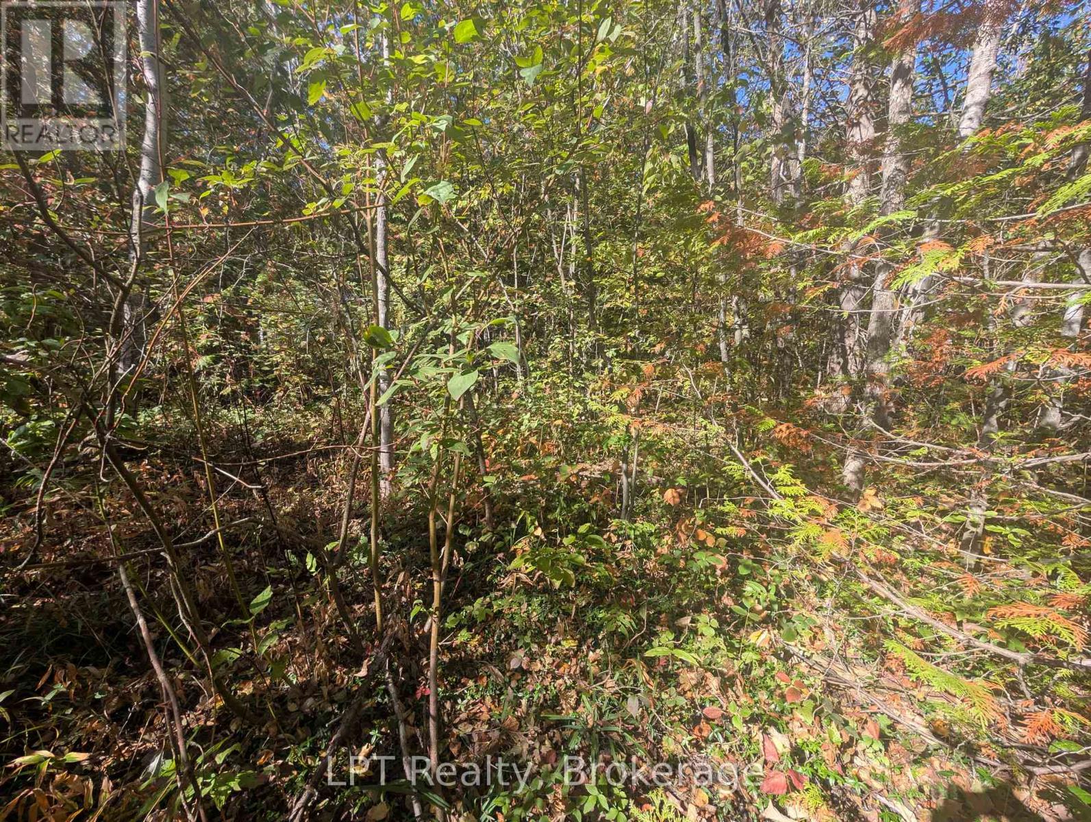 Lt 166 Mallory Beach Road, South Bruce Peninsula, Ontario  N0H 2T0 - Photo 11 - X13013500