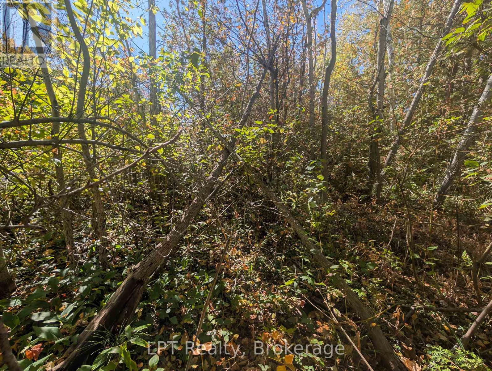 Lt 166 Mallory Beach Road, South Bruce Peninsula, Ontario  N0H 2T0 - Photo 10 - X13013500