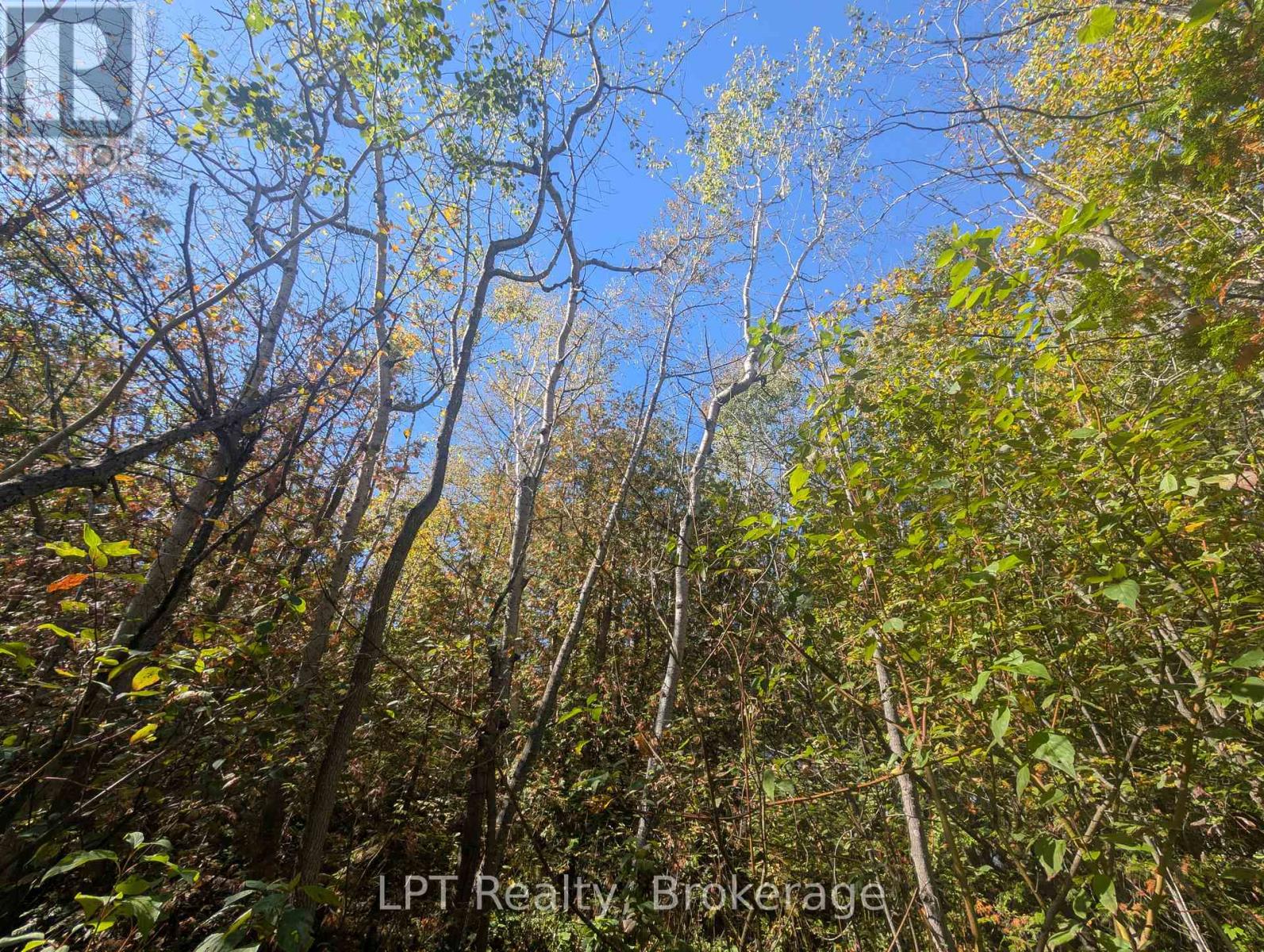 Lt 166 Mallory Beach Road, South Bruce Peninsula, Ontario  N0H 2T0 - Photo 12 - X13013500