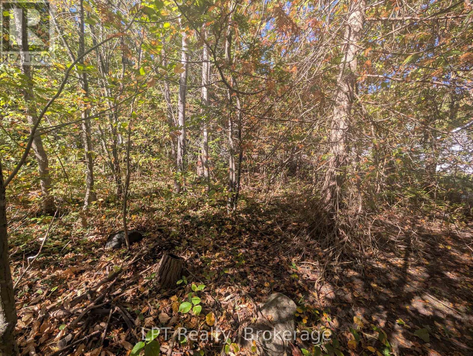 Lt 166 Mallory Beach Road, South Bruce Peninsula, Ontario  N0H 2T0 - Photo 15 - X13013500