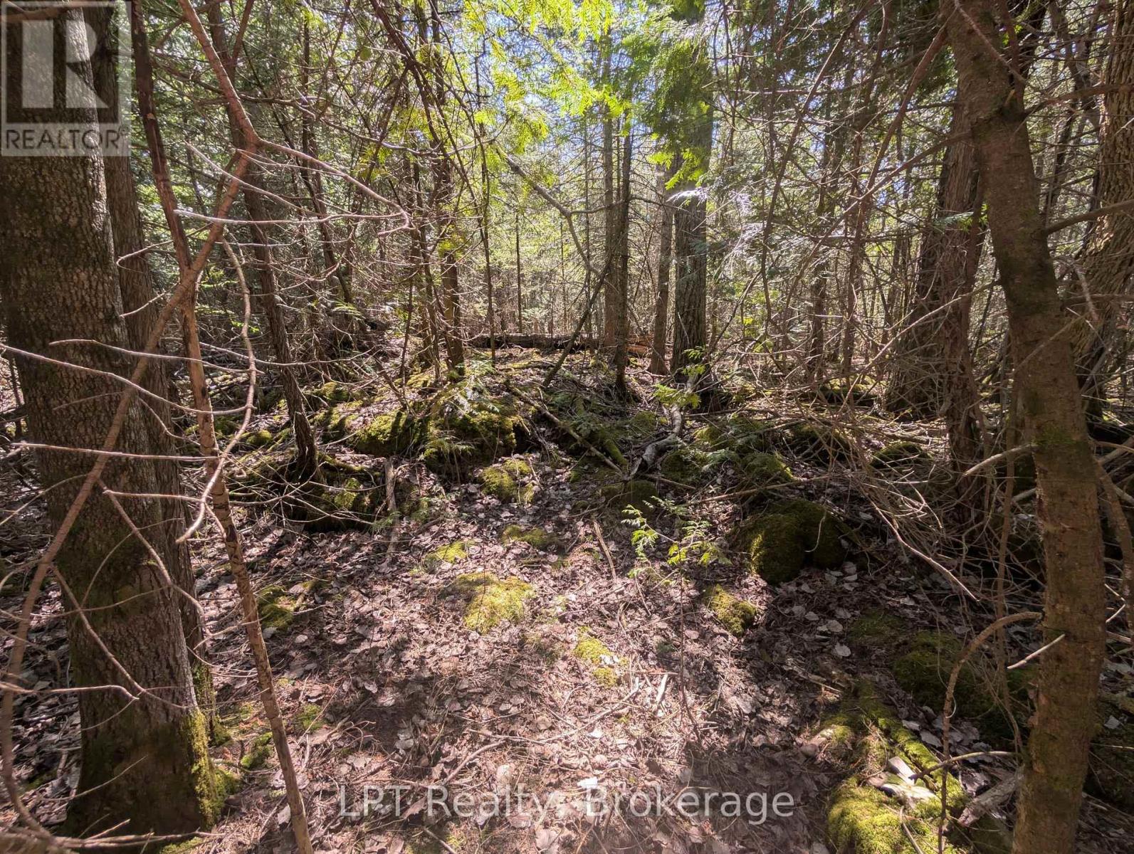 Lot 10 Trillium Crossing, Northern Bruce Peninsula, Ontario  N0H 1W0 - Photo 16 - X13151236
