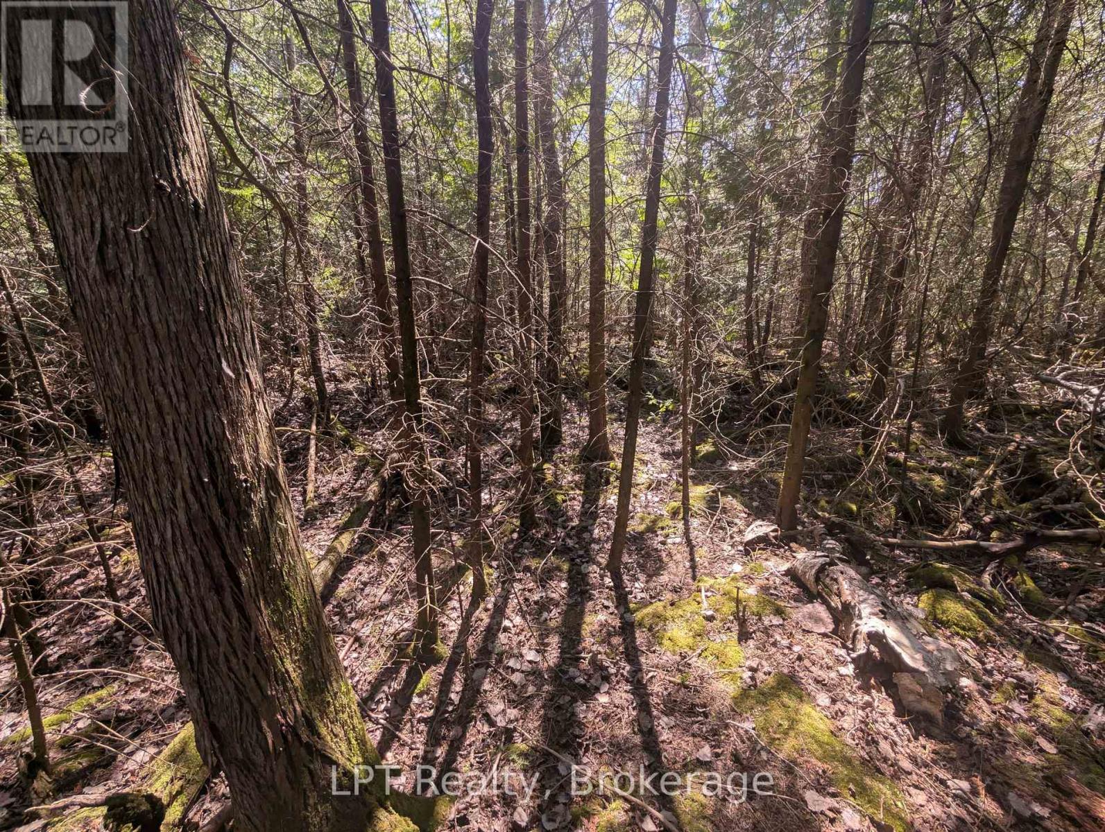 Lot 10 Trillium Crossing, Northern Bruce Peninsula, Ontario  N0H 1W0 - Photo 18 - X13151236