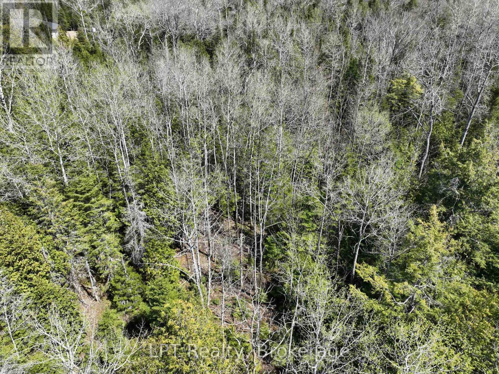 Lot 10 Trillium Crossing, Northern Bruce Peninsula, Ontario  N0H 1W0 - Photo 20 - X13151236