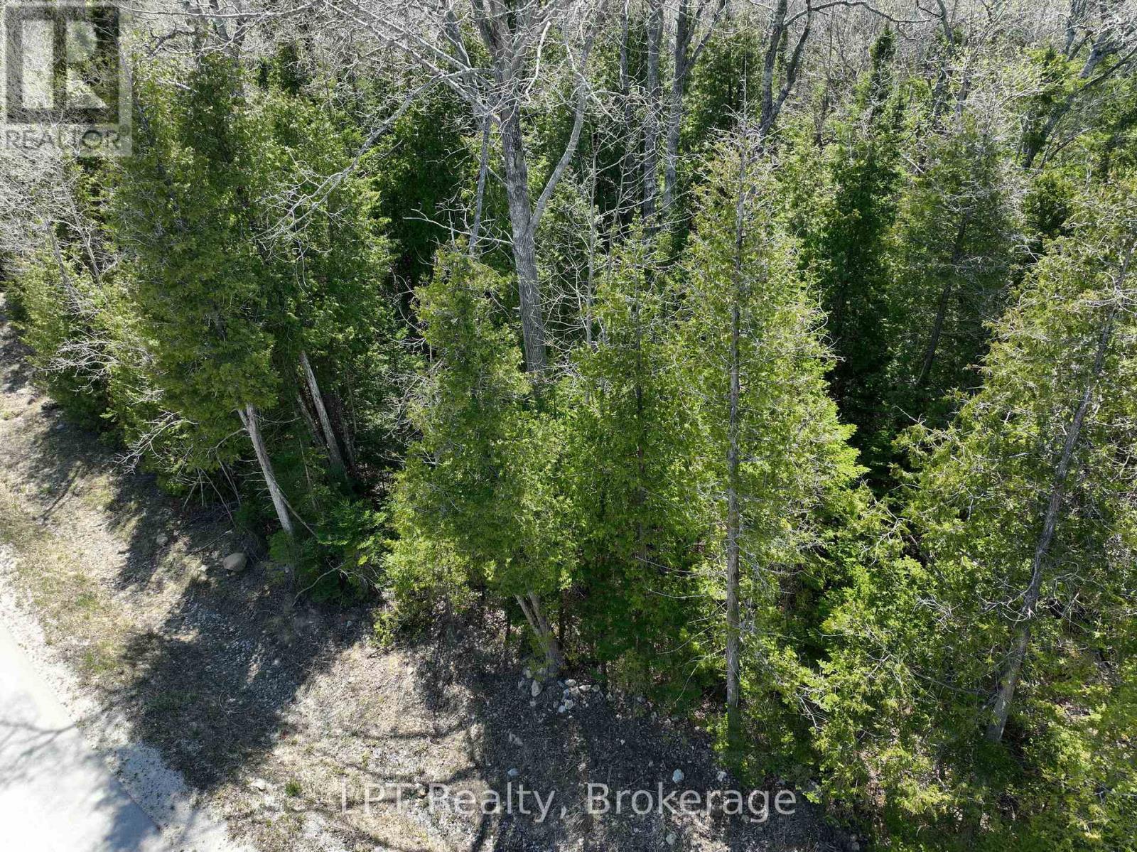 Lot 10 Trillium Crossing, Northern Bruce Peninsula, Ontario  N0H 1W0 - Photo 4 - X13151236