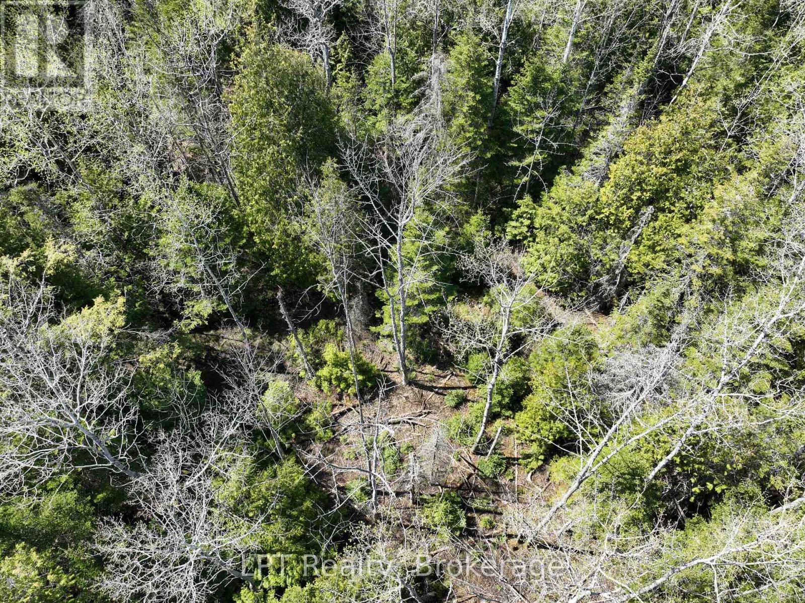 Lot 10 Trillium Crossing, Northern Bruce Peninsula, Ontario  N0H 1W0 - Photo 6 - X13151236