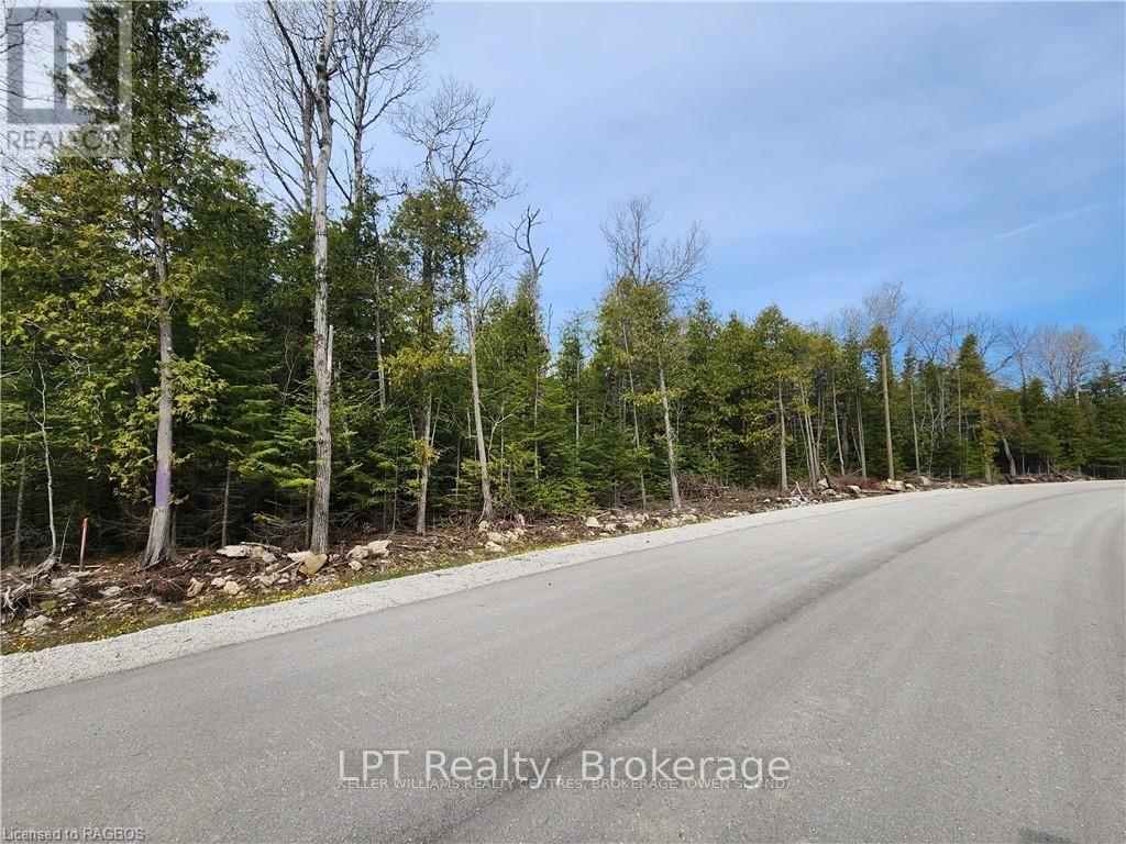 Lot 10 Trillium Crossing, Northern Bruce Peninsula, Ontario  N0H 1W0 - Photo 9 - X13151236