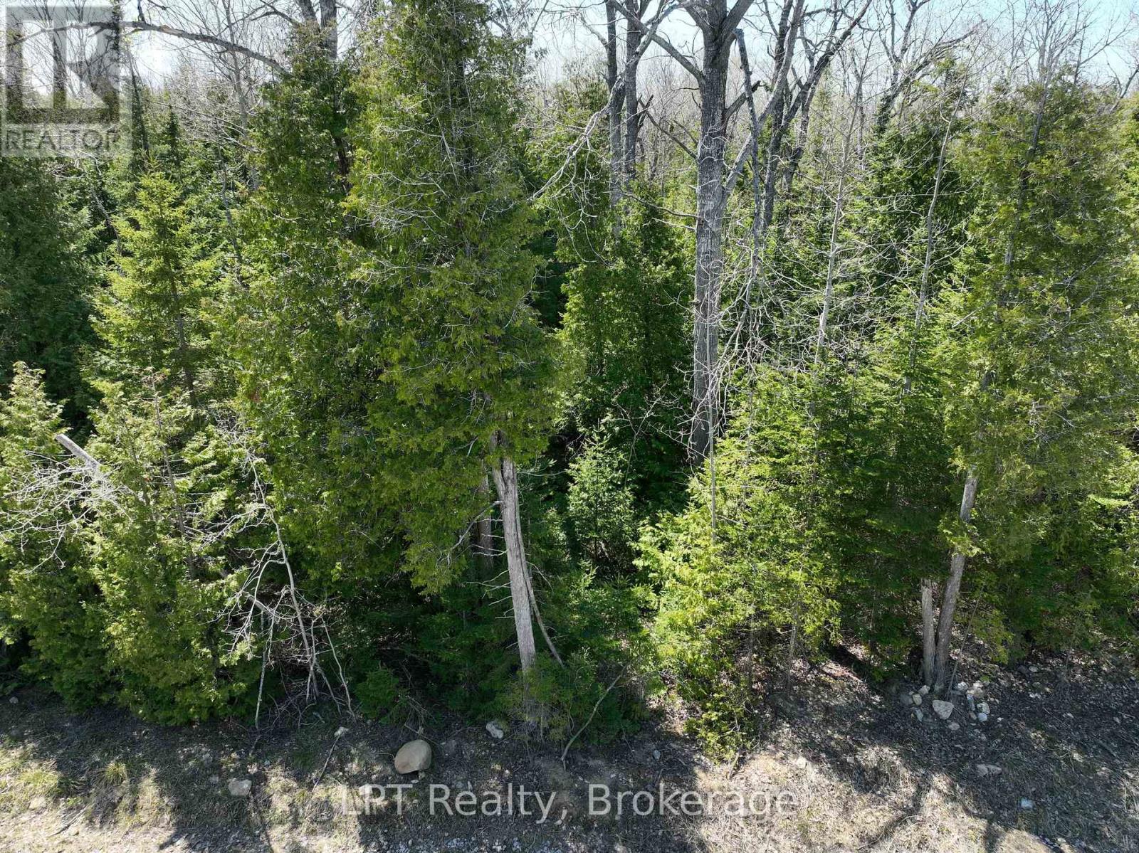 Lot 10 Trillium Crossing, Northern Bruce Peninsula, Ontario  N0H 1W0 - Photo 5 - X13151236