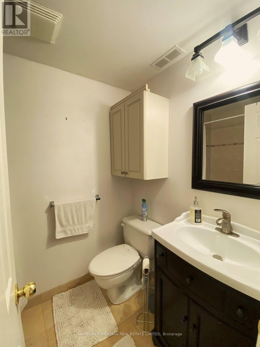 Lower - 42 Lensmith Drive, Aurora, Ontario  L4G 6S1 - Photo 9 - N13691874