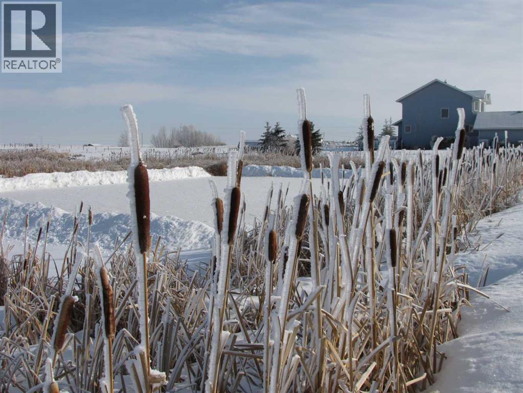 48224 320 Avenue E, Rural Foothills County, Alberta  T1S 4R9 - Photo 48 - A2330431