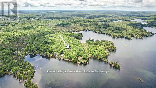 50 Fire Route 41, North Kawartha, Ontario  K0L 2H0 - Photo 4 - X13430882