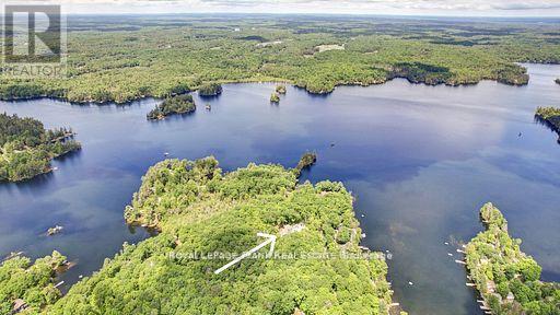 50 Fire Route 41, North Kawartha, Ontario  K0L 2H0 - Photo 5 - X13430882