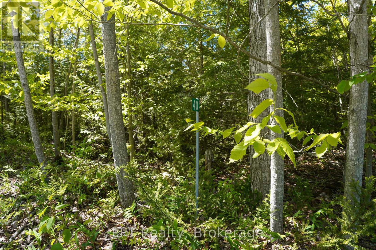 40 Old Red Bay Road, South Bruce Peninsula, Ontario  N0H 2T0 - Photo 10 - X13232834