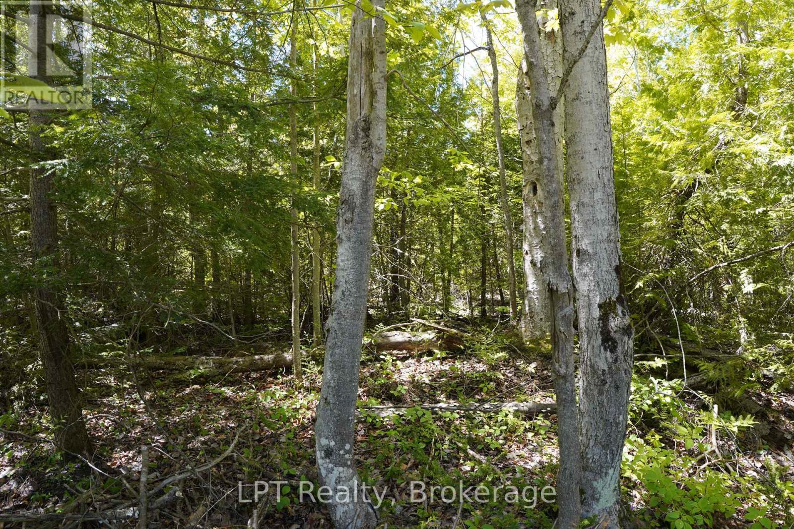 40 Old Red Bay Road, South Bruce Peninsula, Ontario  N0H 2T0 - Photo 11 - X13232834