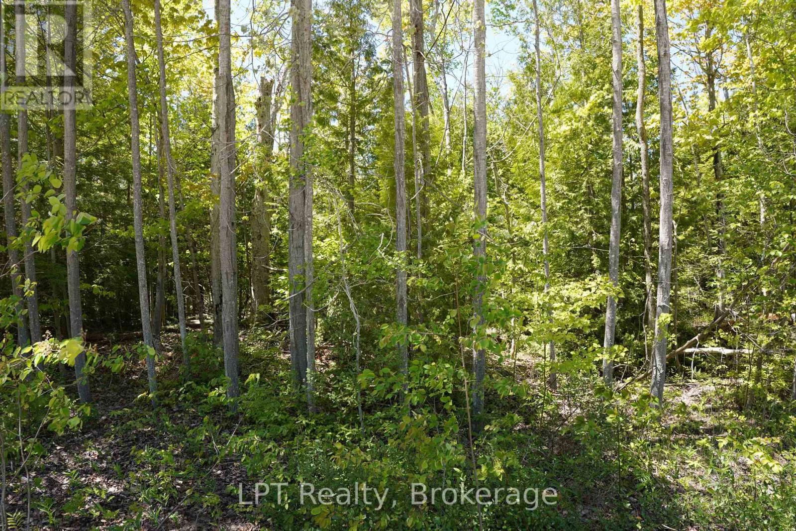 40 Old Red Bay Road, South Bruce Peninsula, Ontario  N0H 2T0 - Photo 8 - X13232834