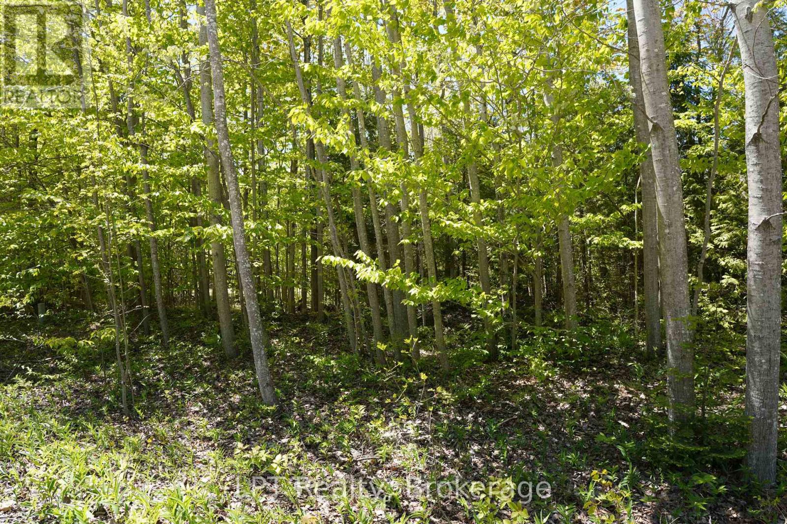 40 Old Red Bay Road, South Bruce Peninsula, Ontario  N0H 2T0 - Photo 12 - X13232834