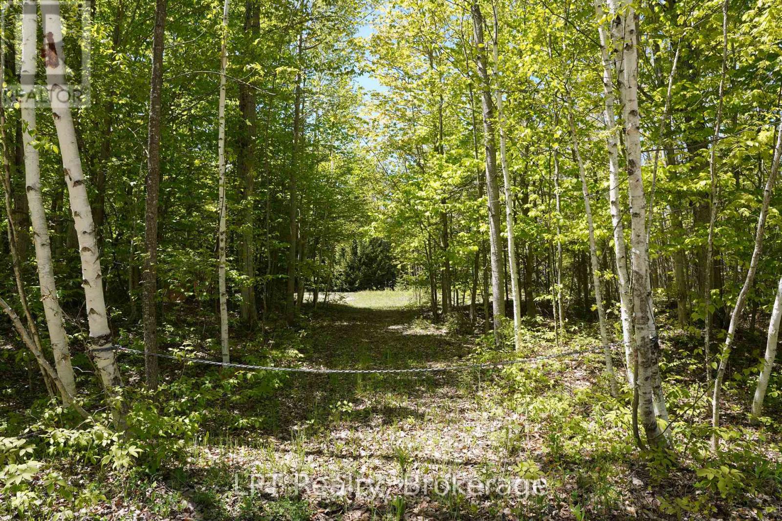 40 Old Red Bay Road, South Bruce Peninsula, Ontario  N0H 2T0 - Photo 13 - X13232834
