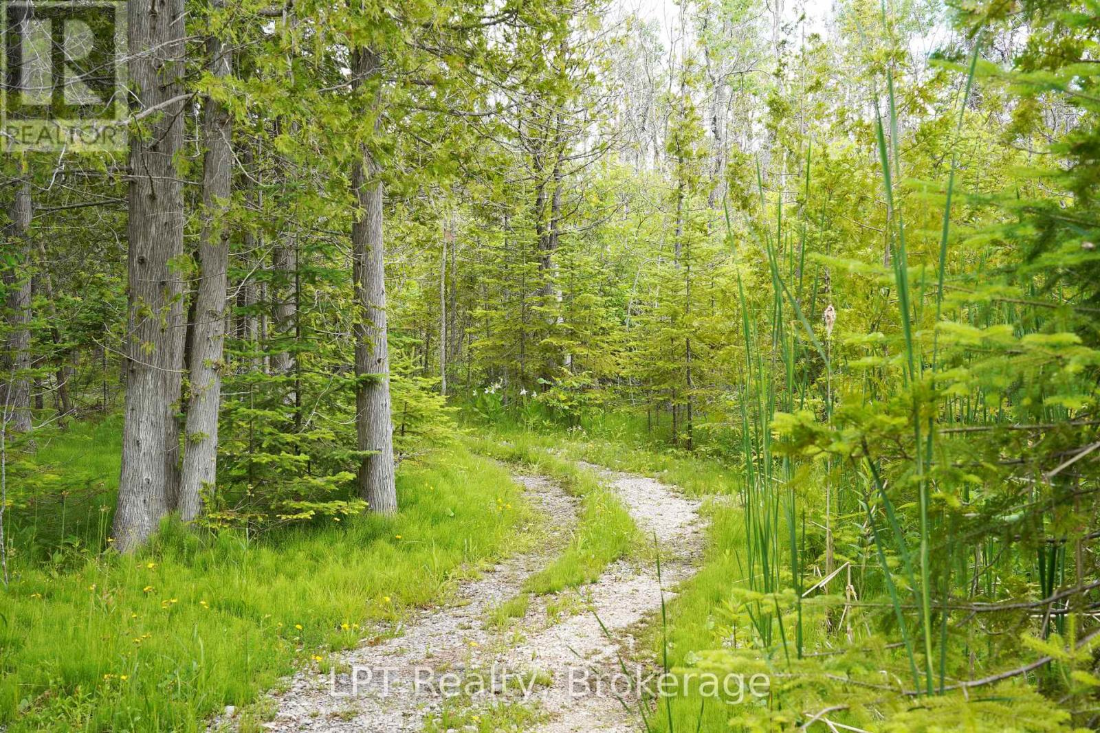 454 Highway 6, South Bruce Peninsula, Ontario  N0H 2T0 - Photo 41 - X13505706