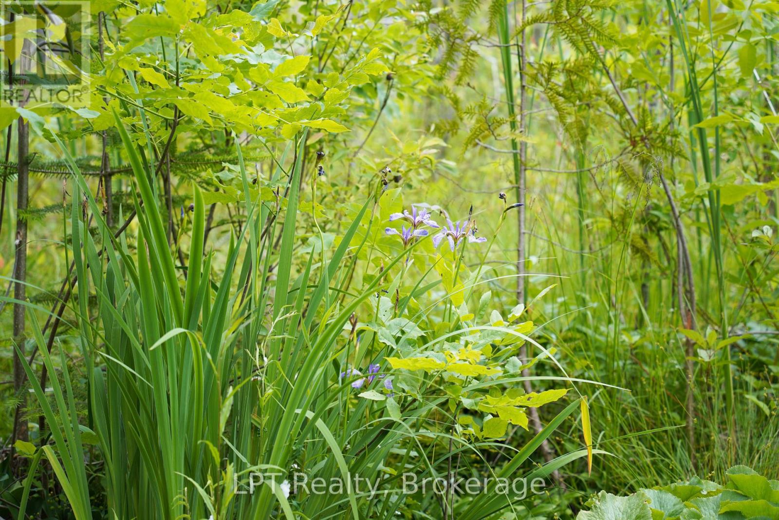 454 Highway 6, South Bruce Peninsula, Ontario  N0H 2T0 - Photo 42 - X13505706