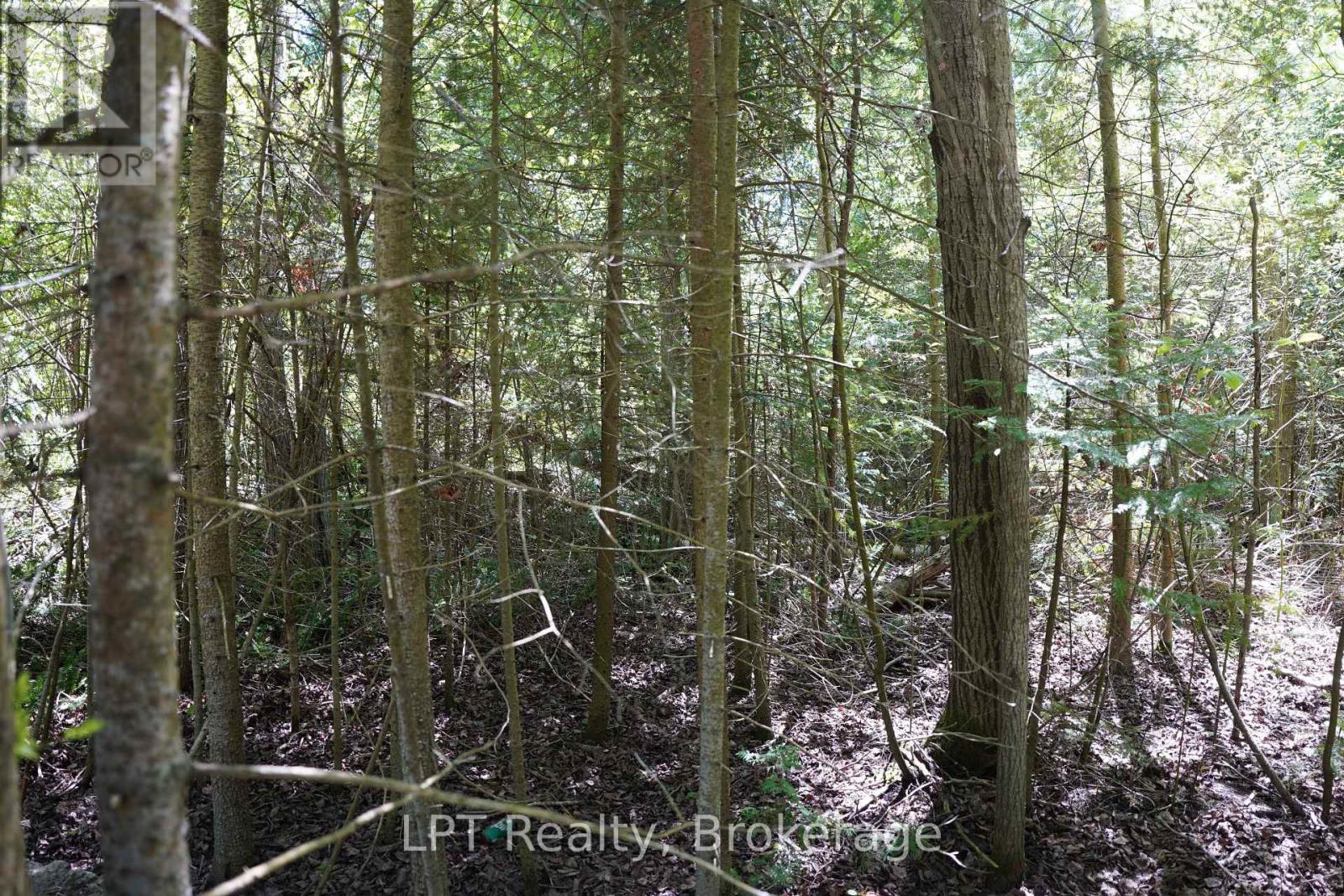 74 Lonely Island Drive, South Bruce Peninsula, Ontario  N0H 2T0 - Photo 14 - X13598184