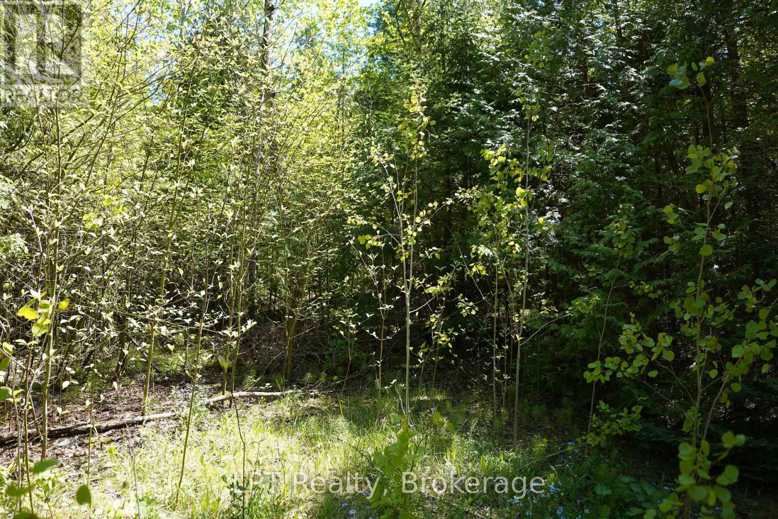 74 Lonely Island Drive, South Bruce Peninsula, Ontario  N0H 2T0 - Photo 11 - X13598184