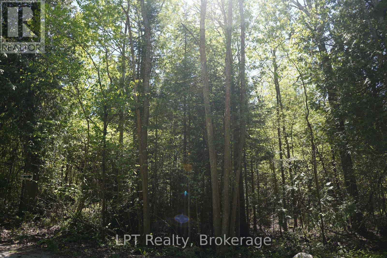 74 Lonely Island Drive, South Bruce Peninsula, Ontario  N0H 2T0 - Photo 19 - X13598184