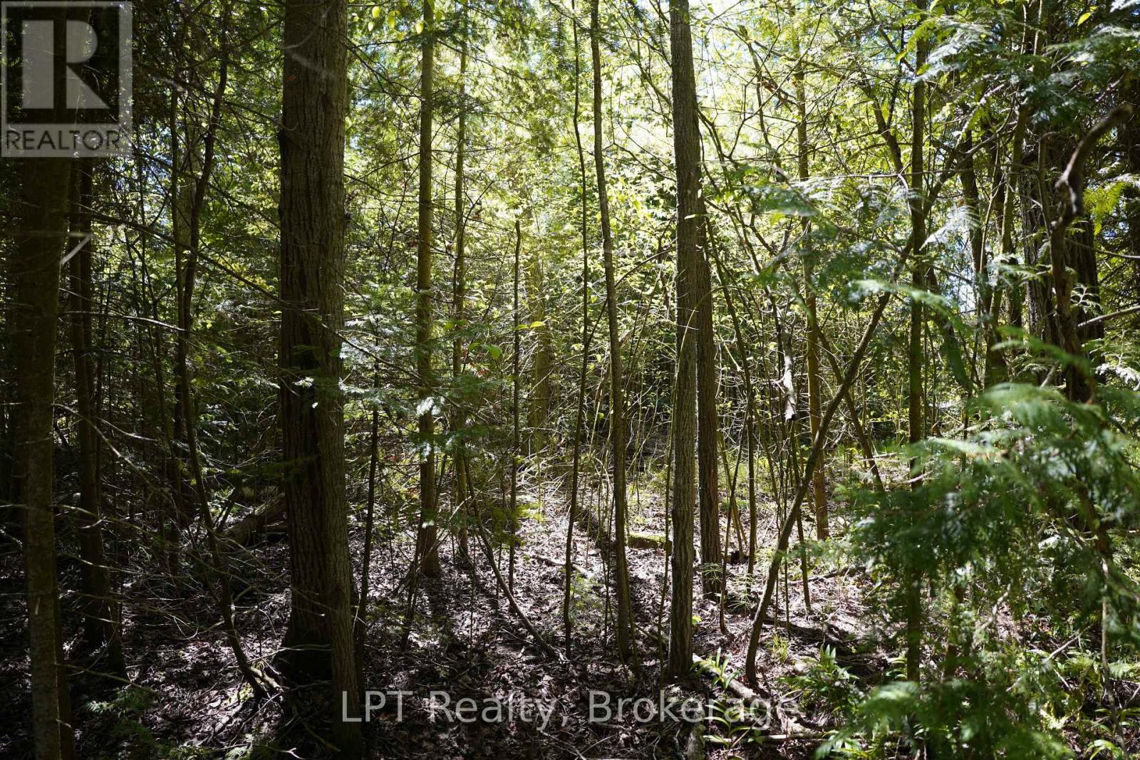 74 Lonely Island Drive, South Bruce Peninsula, Ontario  N0H 2T0 - Photo 13 - X13598184