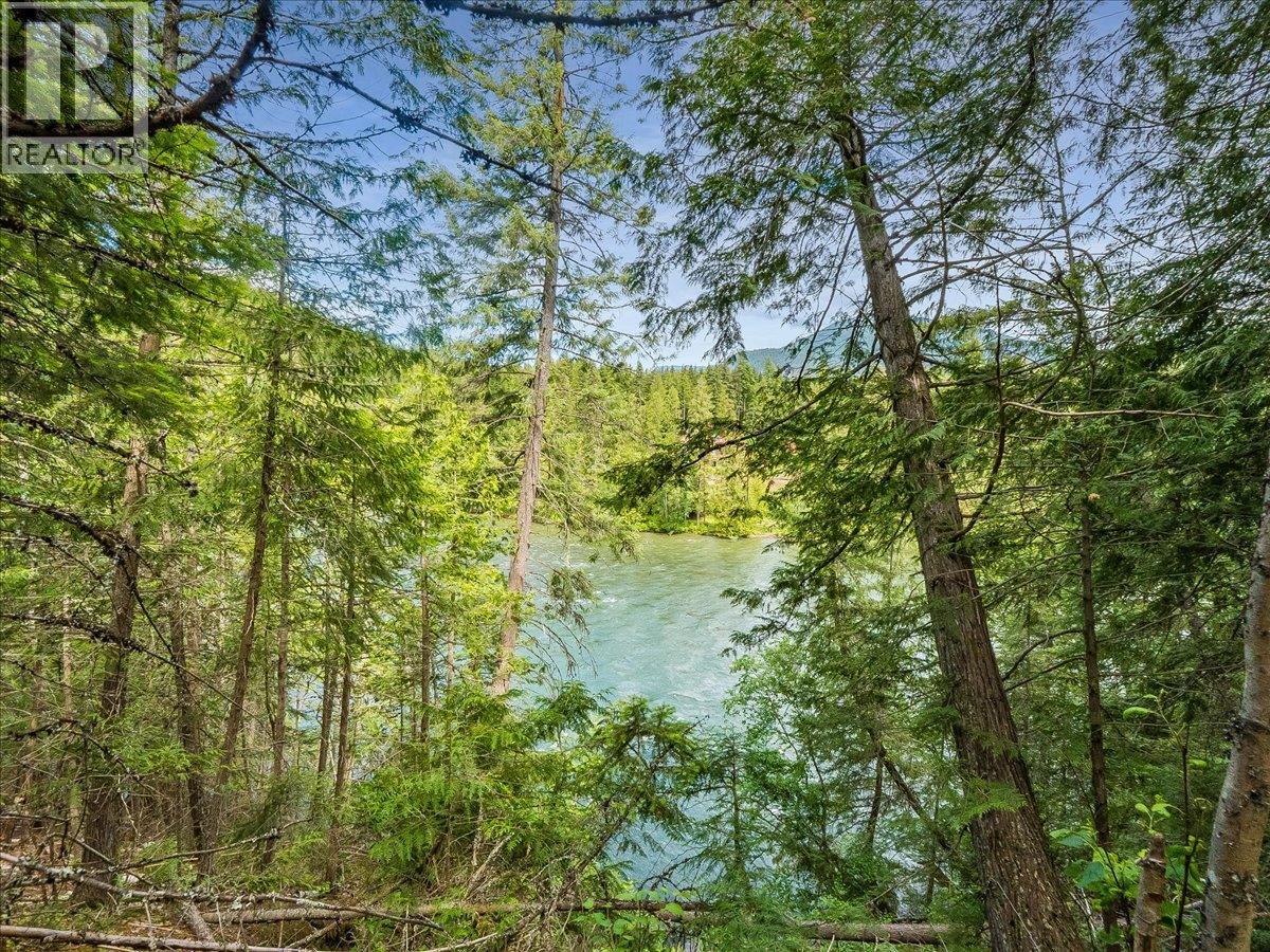 2621 3a Highway, Castlegar, British Columbia  V1N 4P5 - Photo 10 - 10398006