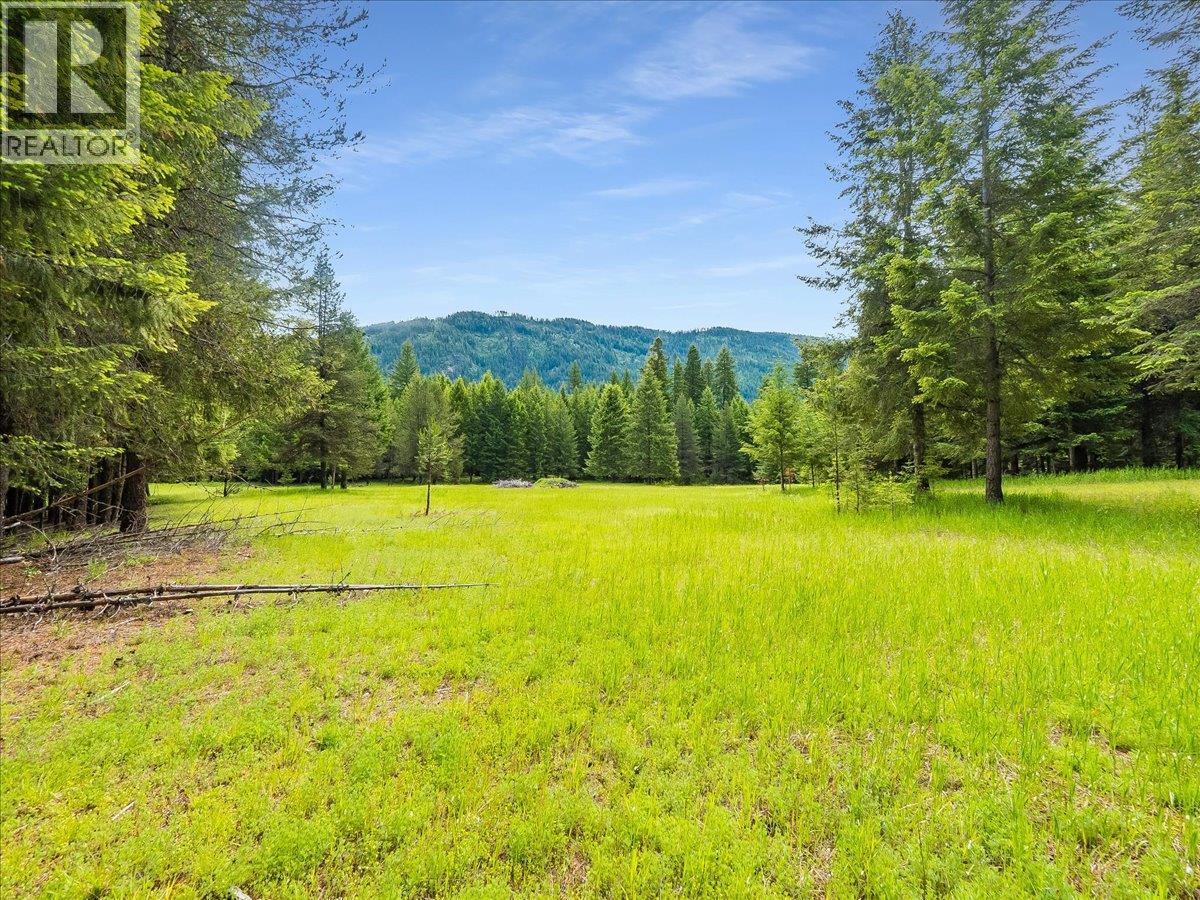 2621 3a Highway, Castlegar, British Columbia  V1N 4P5 - Photo 39 - 10398006