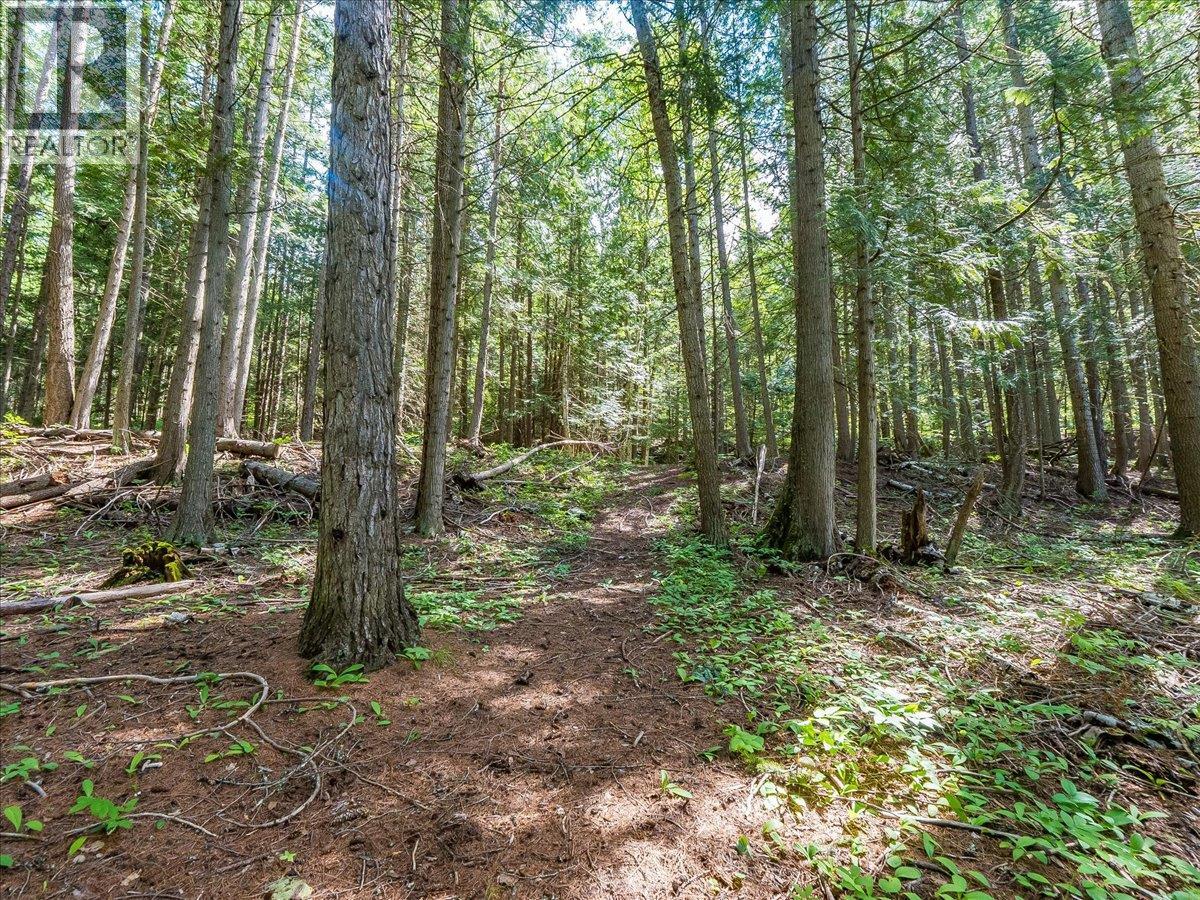 2621 3a Highway, Castlegar, British Columbia  V1N 4P5 - Photo 22 - 10398006