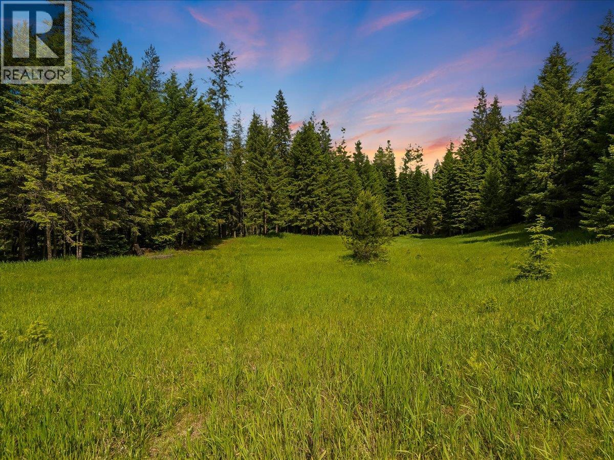 2621 3a Highway, Castlegar, British Columbia  V1N 4P5 - Photo 43 - 10398006