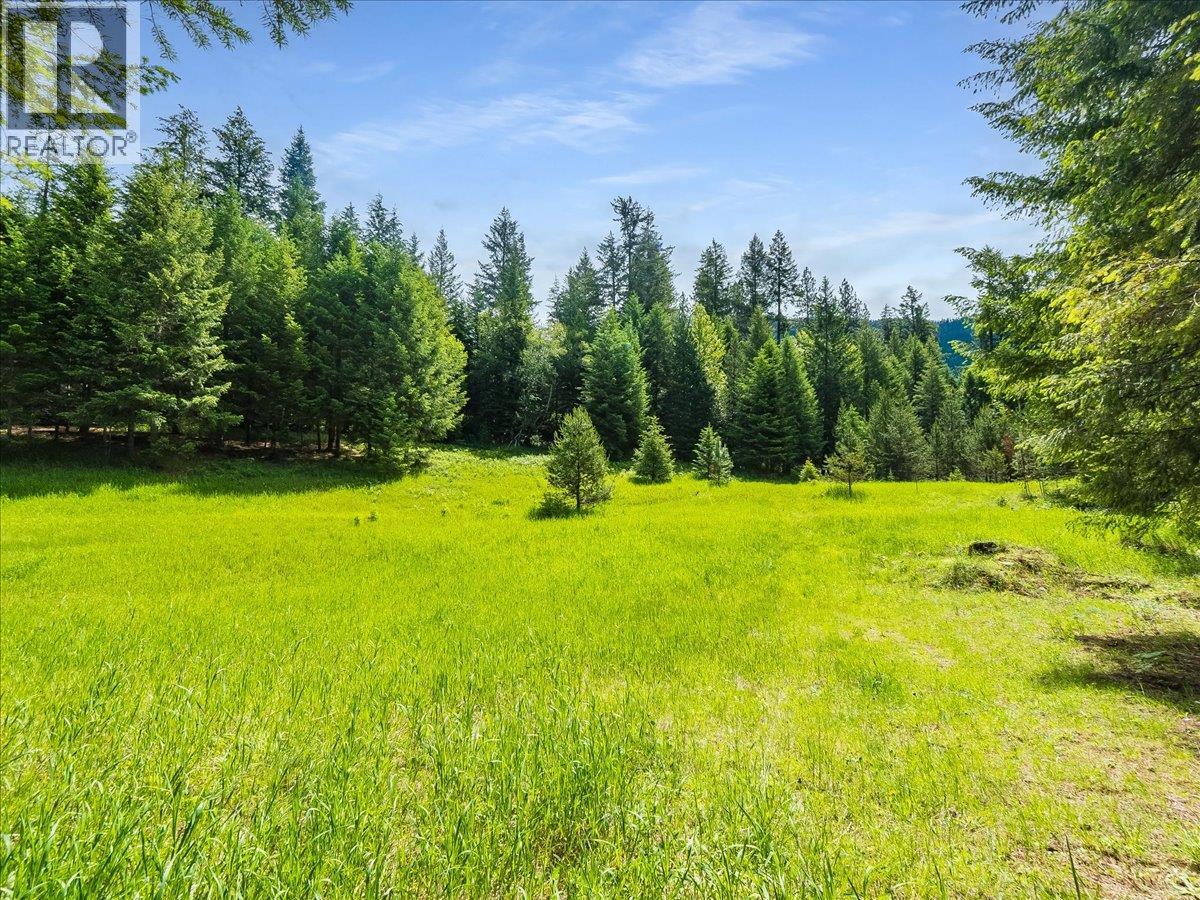 2621 3a Highway, Castlegar, British Columbia  V1N 4P5 - Photo 26 - 10398006