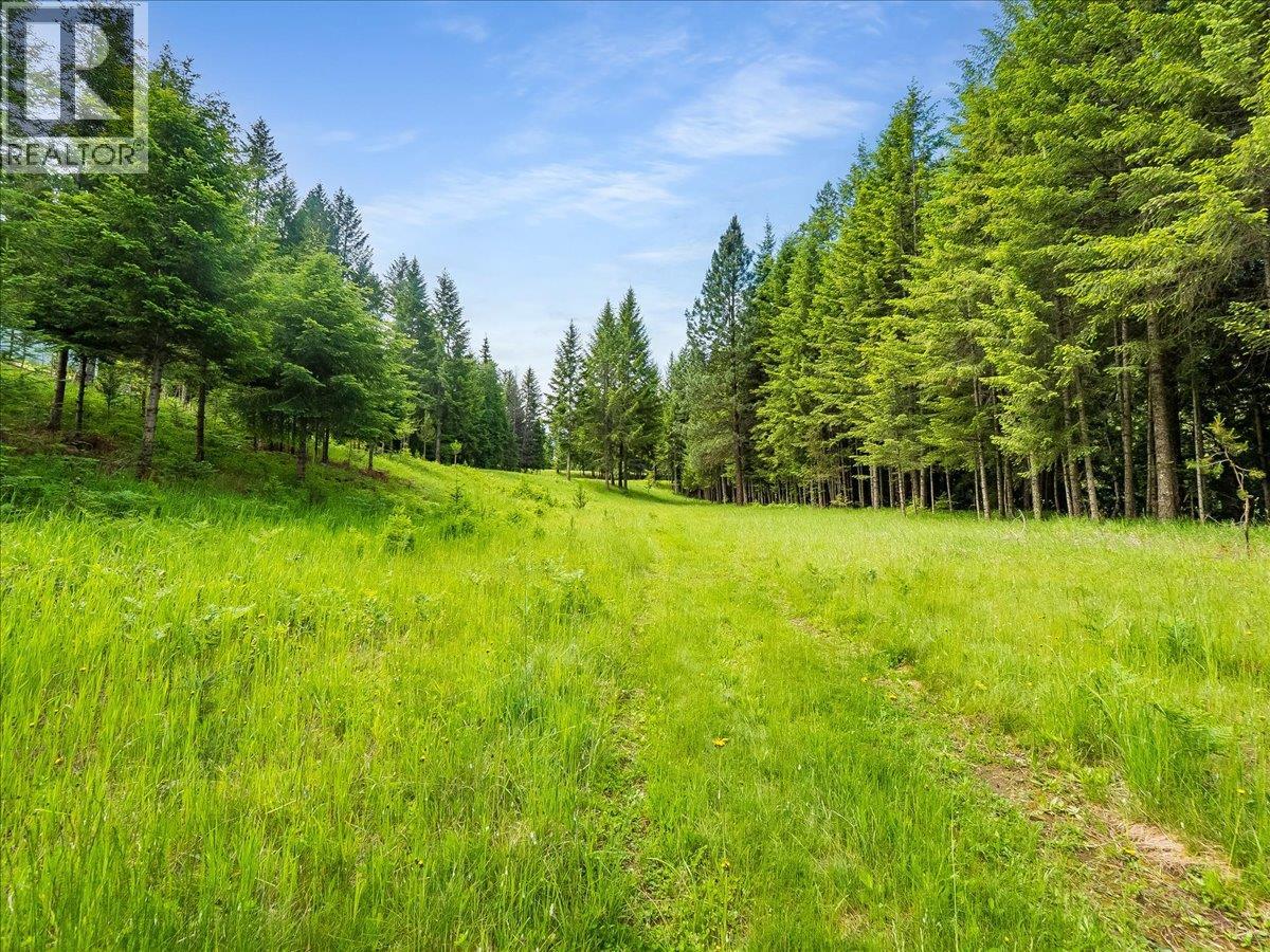 2621 3a Highway, Castlegar, British Columbia  V1N 4P5 - Photo 32 - 10398006