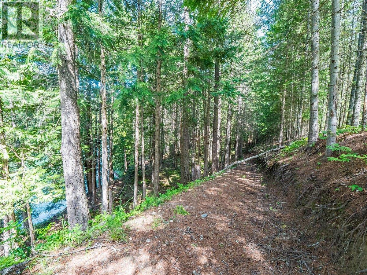 2621 3a Highway, Castlegar, British Columbia  V1N 4P5 - Photo 24 - 10398006