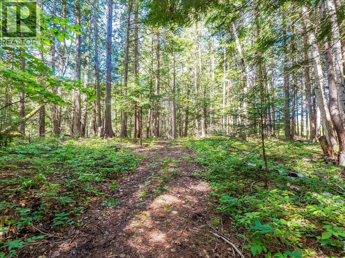 2621 3a Highway, Castlegar, British Columbia  V1N 4P5 - Photo 25 - 10398006