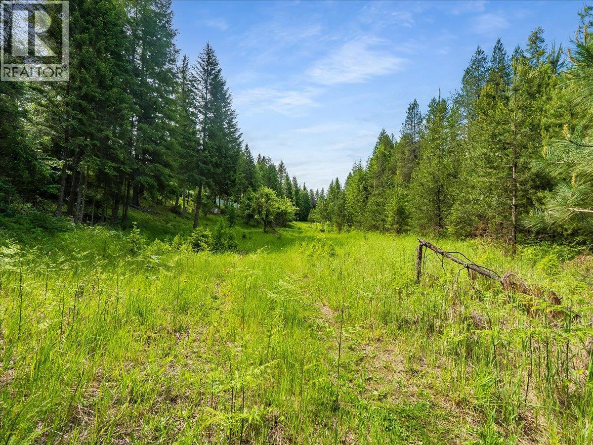 2621 3a Highway, Castlegar, British Columbia  V1N 4P5 - Photo 28 - 10398006