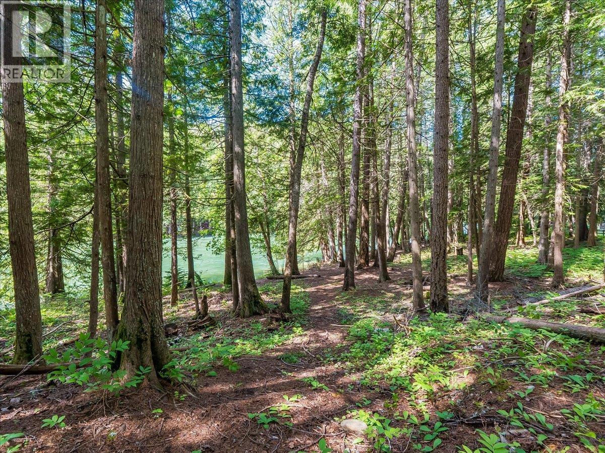 2621 3a Highway, Castlegar, British Columbia  V1N 4P5 - Photo 21 - 10398006
