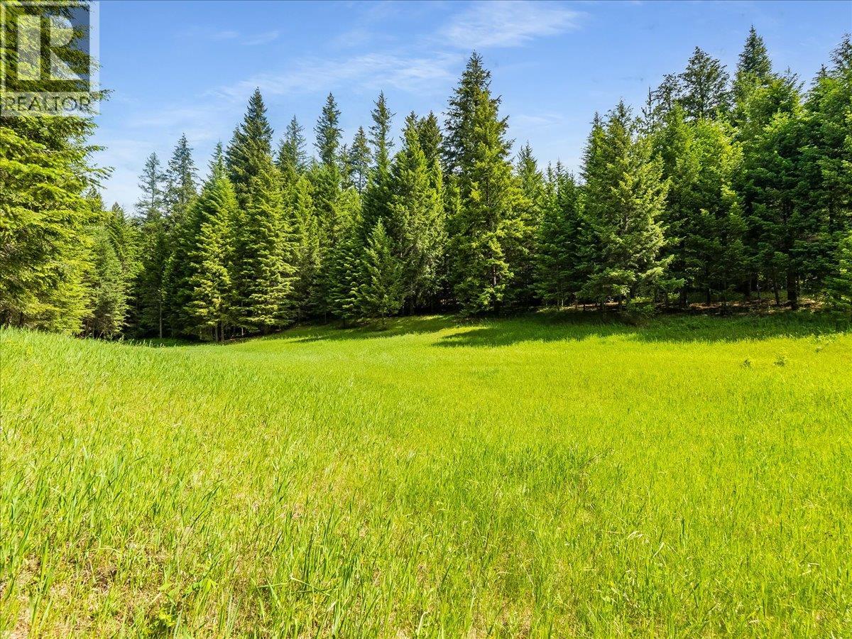 2621 3a Highway, Castlegar, British Columbia  V1N 4P5 - Photo 27 - 10398006