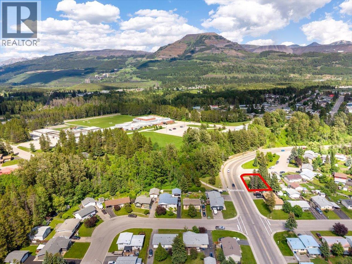 316 Alpine Place, Sparwood, British Columbia  V0B 2G0 - Photo 59 - 10392263