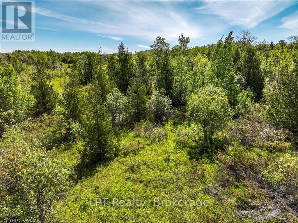 Lot 39 Bartley Drive, Northern Bruce Peninsula, Ontario  N0H 1Z0 - Photo 10 - X12899188
