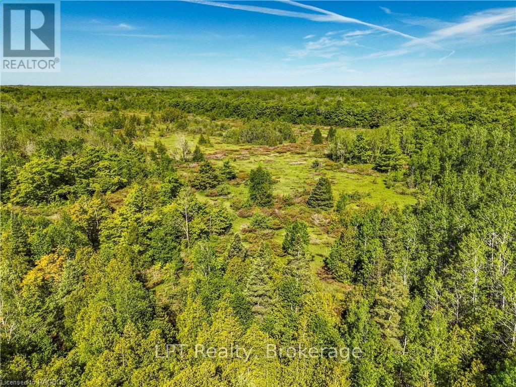 Lot 39 Bartley Drive, Northern Bruce Peninsula, Ontario  N0H 1Z0 - Photo 14 - X12899188