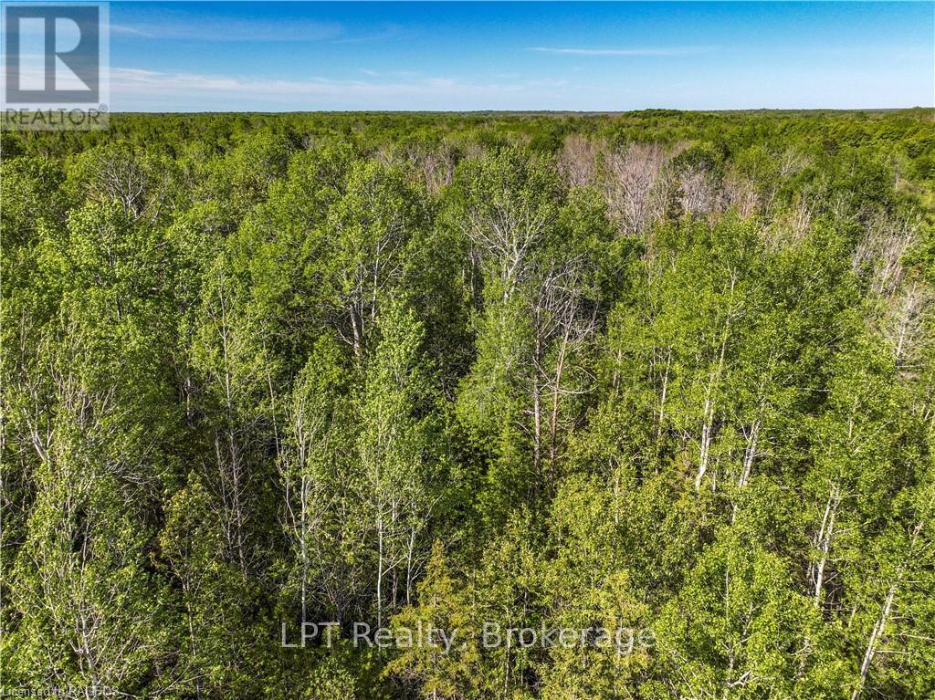 Lot 39 Bartley Drive, Northern Bruce Peninsula, Ontario  N0H 1Z0 - Photo 15 - X12899188