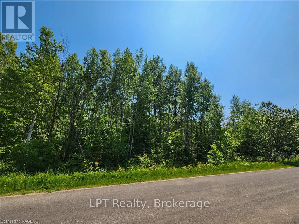 Pt Lt 23 Maple Drive, Northern Bruce Peninsula, Ontario  N0H 1Z0 - Photo 10 - X12946858