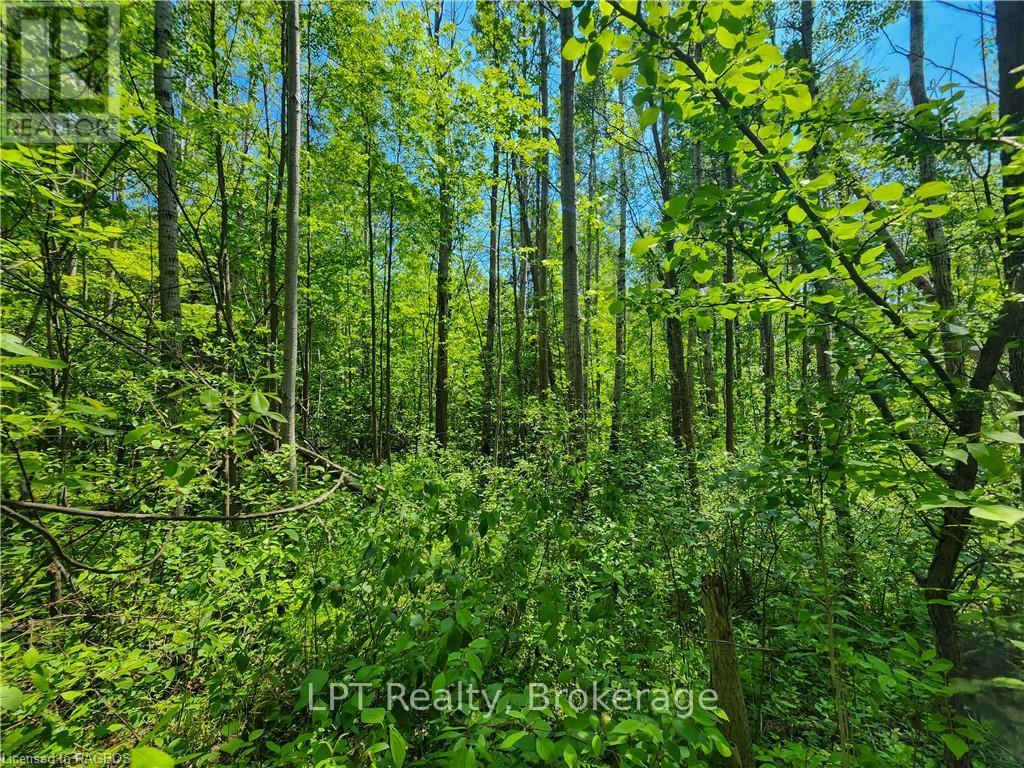 Pt Lt 23 Maple Drive, Northern Bruce Peninsula, Ontario  N0H 1Z0 - Photo 4 - X12946858