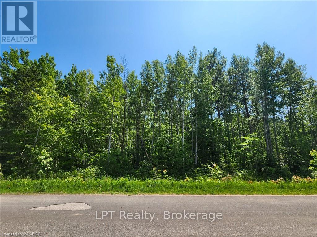 Pt Lt 23 Maple Drive, Northern Bruce Peninsula, Ontario  N0H 1Z0 - Photo 9 - X12946858