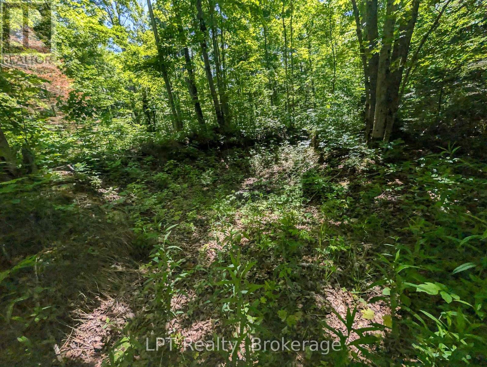 590-608 Huron Road, South Bruce Peninsula, Ontario  N0H 2T0 - Photo 24 - X12965816