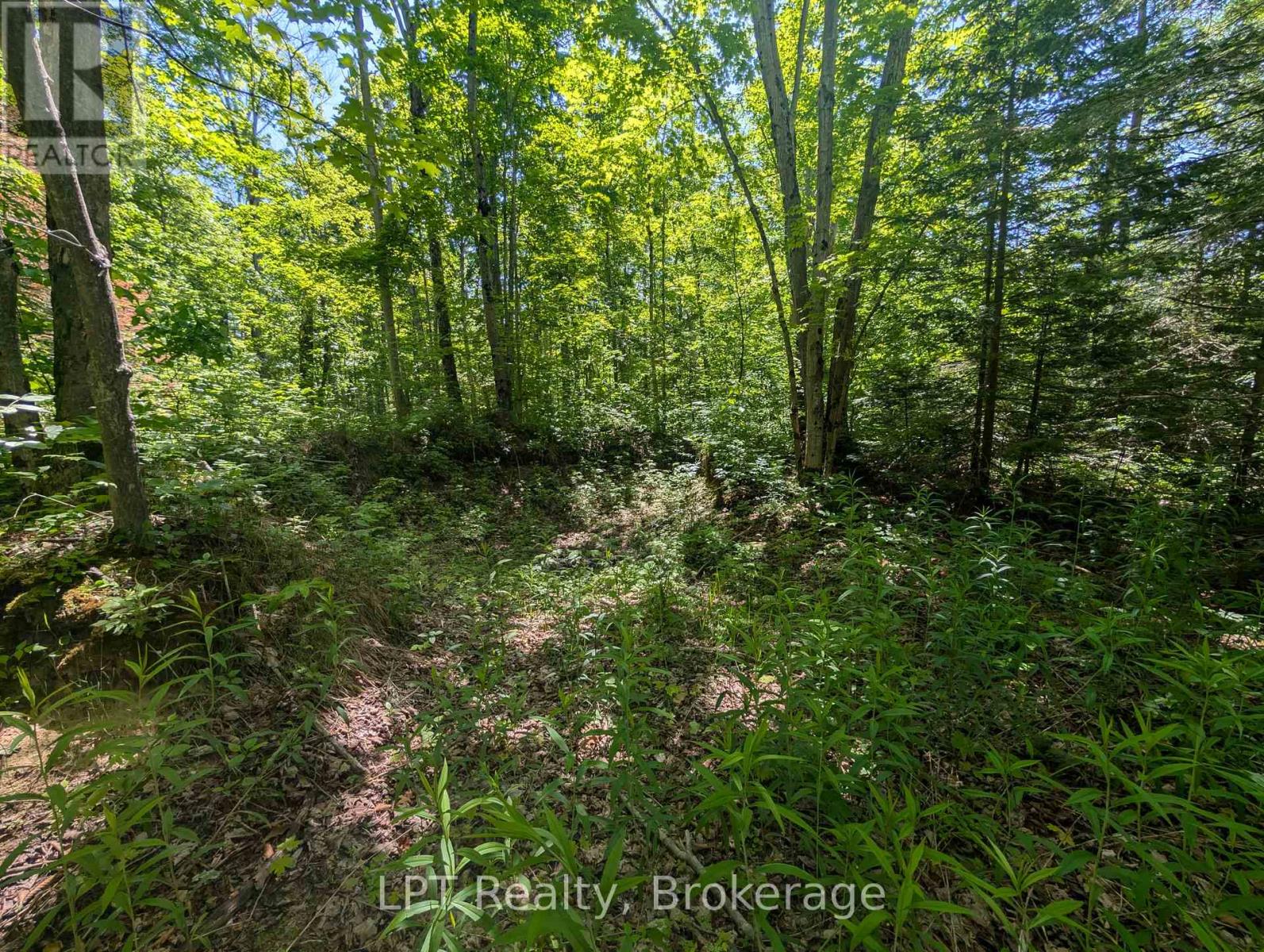 590-608 Huron Road, South Bruce Peninsula, Ontario  N0H 2T0 - Photo 18 - X12965816