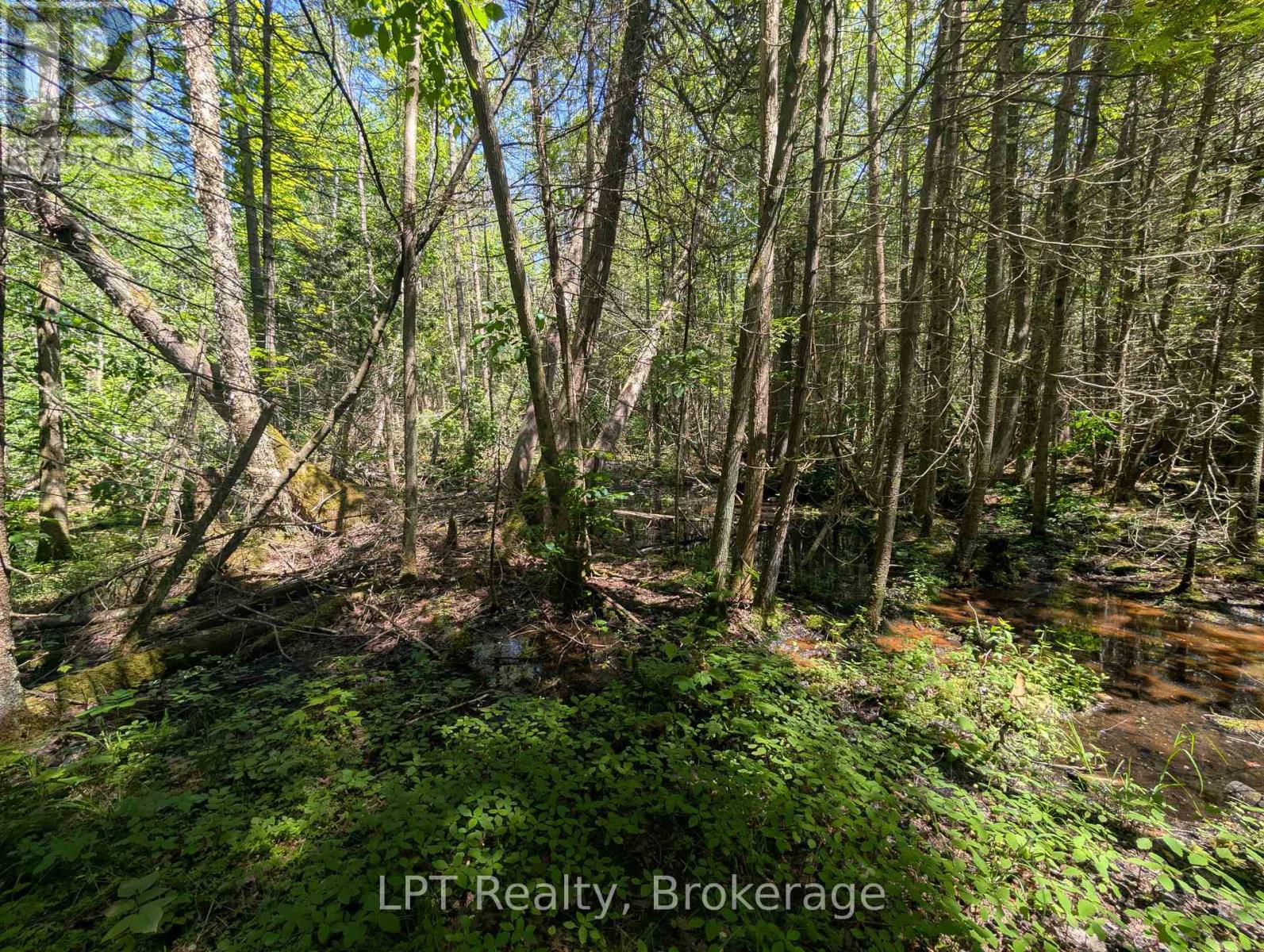 590-608 Huron Road, South Bruce Peninsula, Ontario  N0H 2T0 - Photo 47 - X12965816